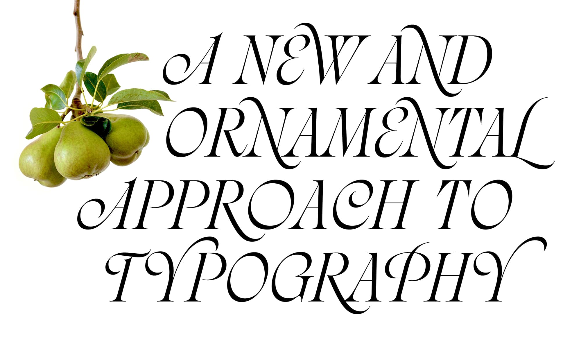 Calligraphy, Curiosity, and Craftsmanship: Examining Themes of My-Lan Thuong’s Work